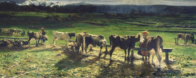 Weiden, 1886